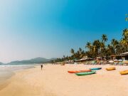 5 Amazing Things To Do In Goa: A Guide To The Incredible Experiences Awaiting You! beautiful picturesque goan beach with sand sea and trees