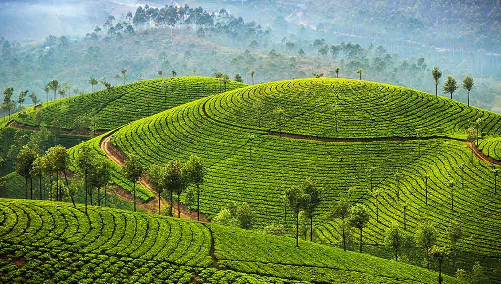 5 Must-See Places in India: Discover India’s Best-Kept Secrets