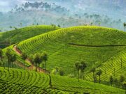 5 Must-See Places in India: Discover India’s Best-Kept Secrets