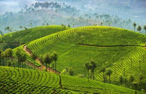 5 Must-See Places in India: Discover India’s Best-Kept Secrets