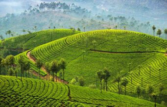 5 Must-See Places in India: Discover India’s Best-Kept Secrets
