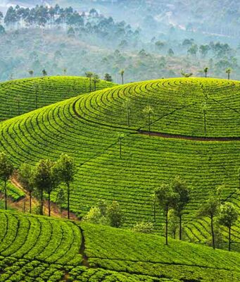 5 Must-See Places in India: Discover India’s Best-Kept Secrets